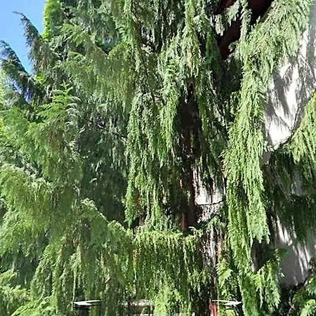 & Restaurant Schenk Von Landsberg 3*