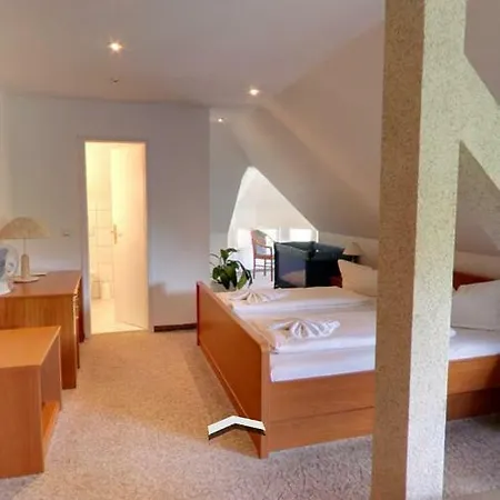 Hotel & Restaurant Schenk Von Landsberg 3*