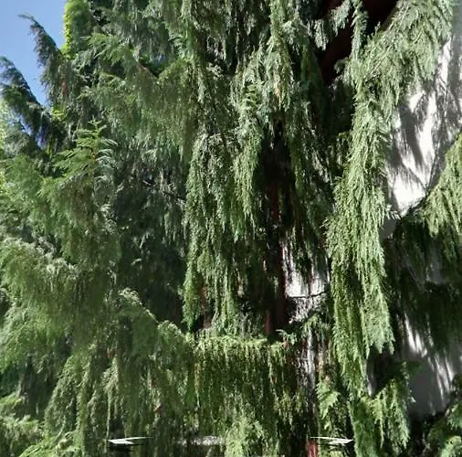 Hotel&restaurant Schenk Von Landsberg Hotel 3*