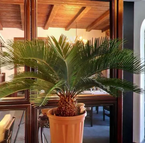 & Restaurant Schenk Von Landsberg